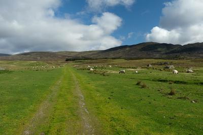 Walk photo