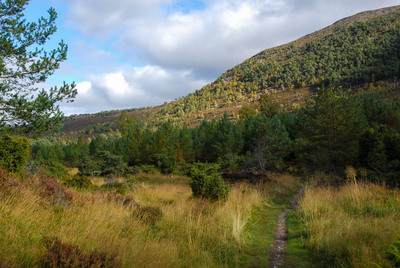 Walk photo