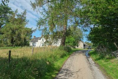 Walk photo