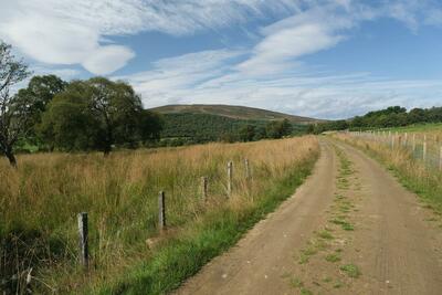 Walk photo