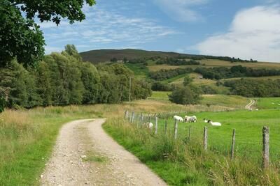 Walk photo