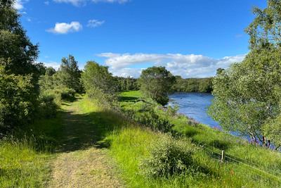 Walk photo