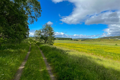 Walk photo