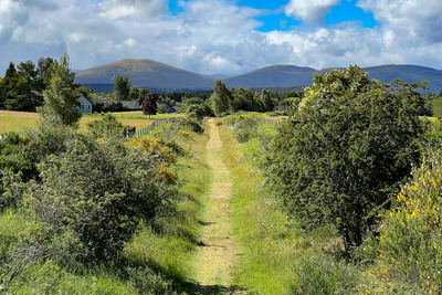 Walk photo