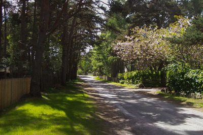 Walk photo