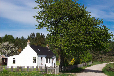 Walk photo