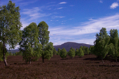 Walk photo