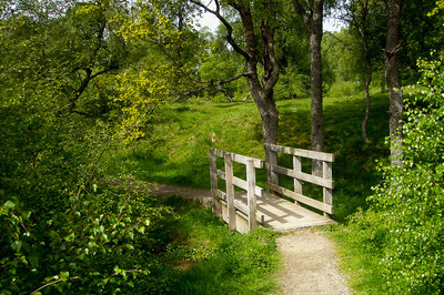 Walk photo