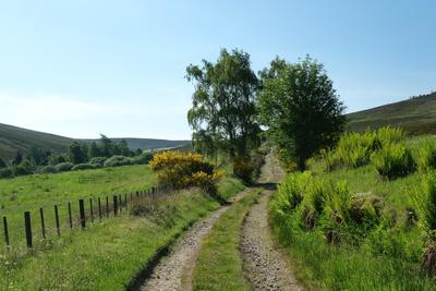 Walk photo