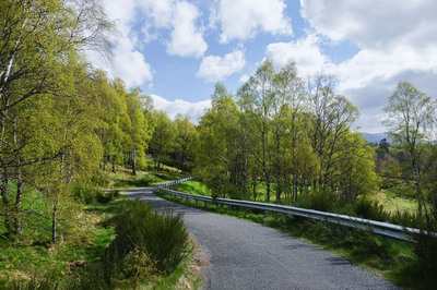 Walk photo