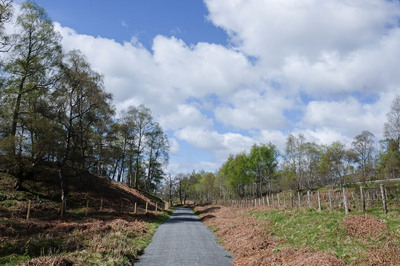 Walk photo