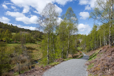 Walk photo