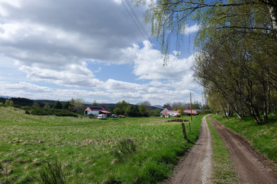 Walk photo