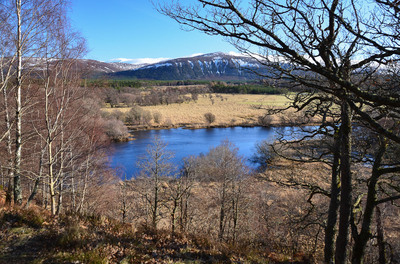 Speyside Way 7: Aviemore to Kincraig