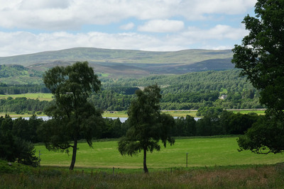 Walk photo