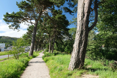Walk photo