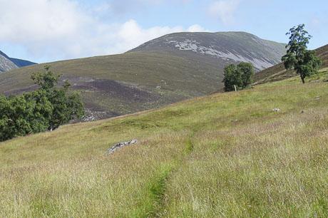 Beinn Mheadhonach