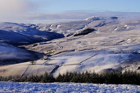 Brown Cow Hill
