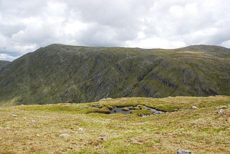 Faochaig