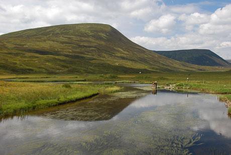 The Sow of Atholl