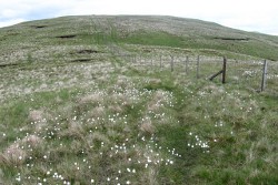Blairdenon Hill