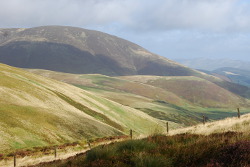 Cardon Hill