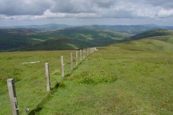Dun Law