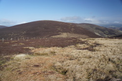Glenrath Heights