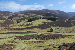 The Scrape