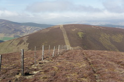 Stob Law