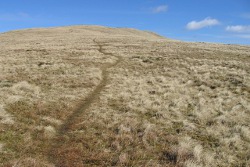 Whitewisp Hill