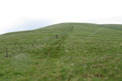 Whitehope Heights