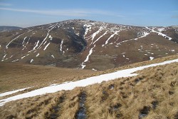 Whitehope Law