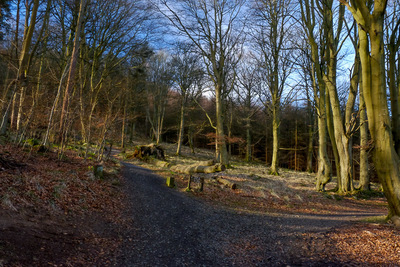 Walk photo