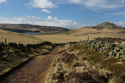 Walk photo