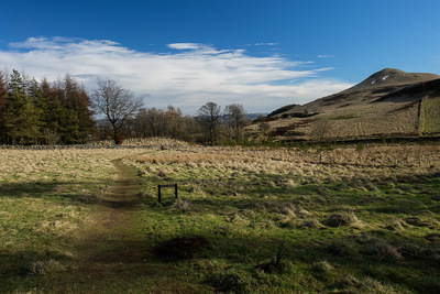 Walk photo