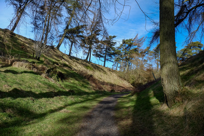 Walk photo