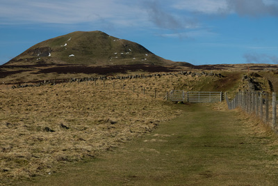 Walk photo