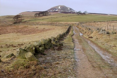Walk photo