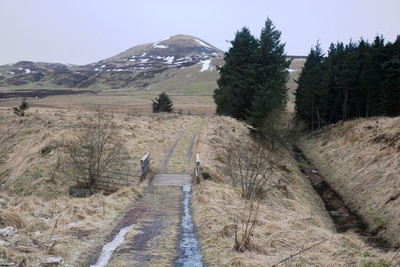 Walk photo