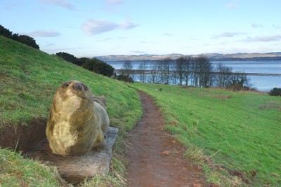 Walk photo