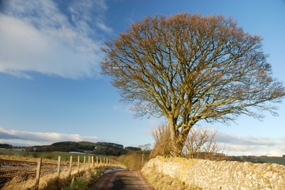 Walk photo
