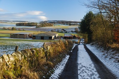 Walk photo