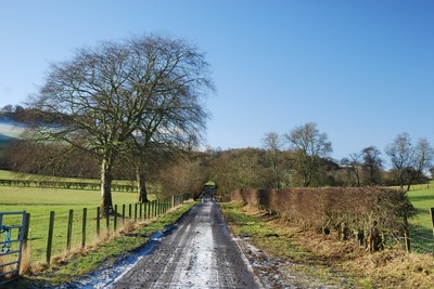 Walk photo