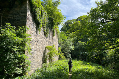 Walk photo