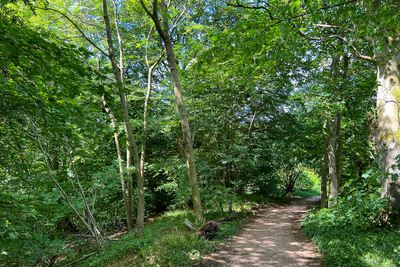Walk photo