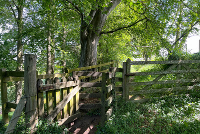 Walk photo