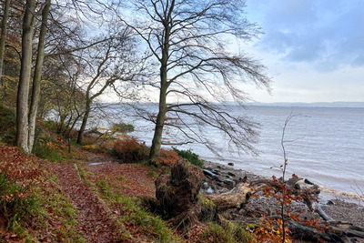 Walk photo
