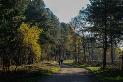 Walk photo