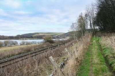 Walk photo